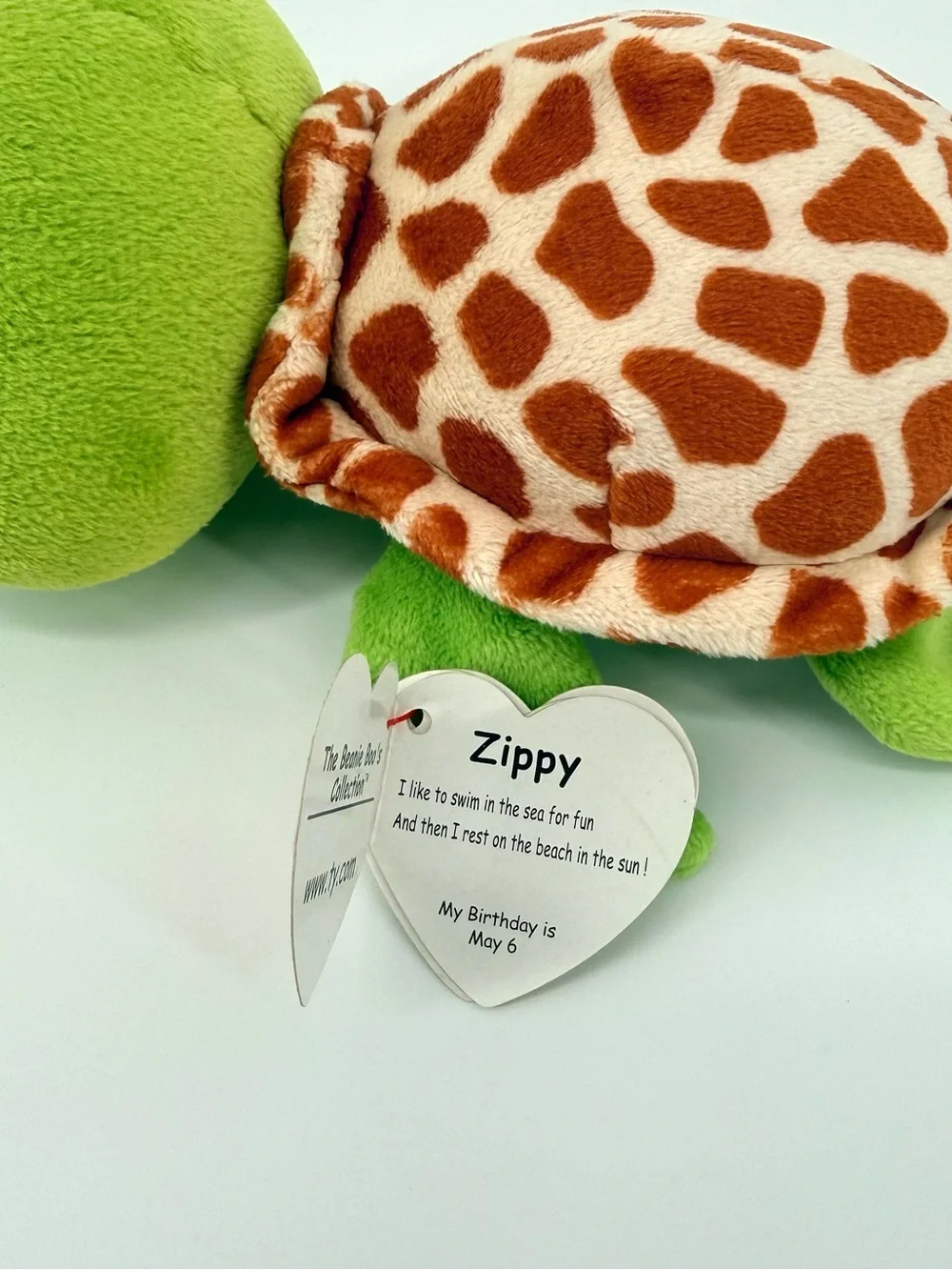 Ty Beanie Boo Zippy the Turtle